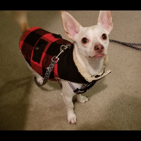 πΈ Welcome to my Boutique πΈ - Picture 5 of 16